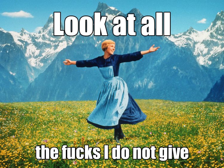 fucks I do not give Meme of Maria from the movie The Sound of Music standing on a mountaintop spinning. Text overlay says "Look at all the fucks I do not give'.