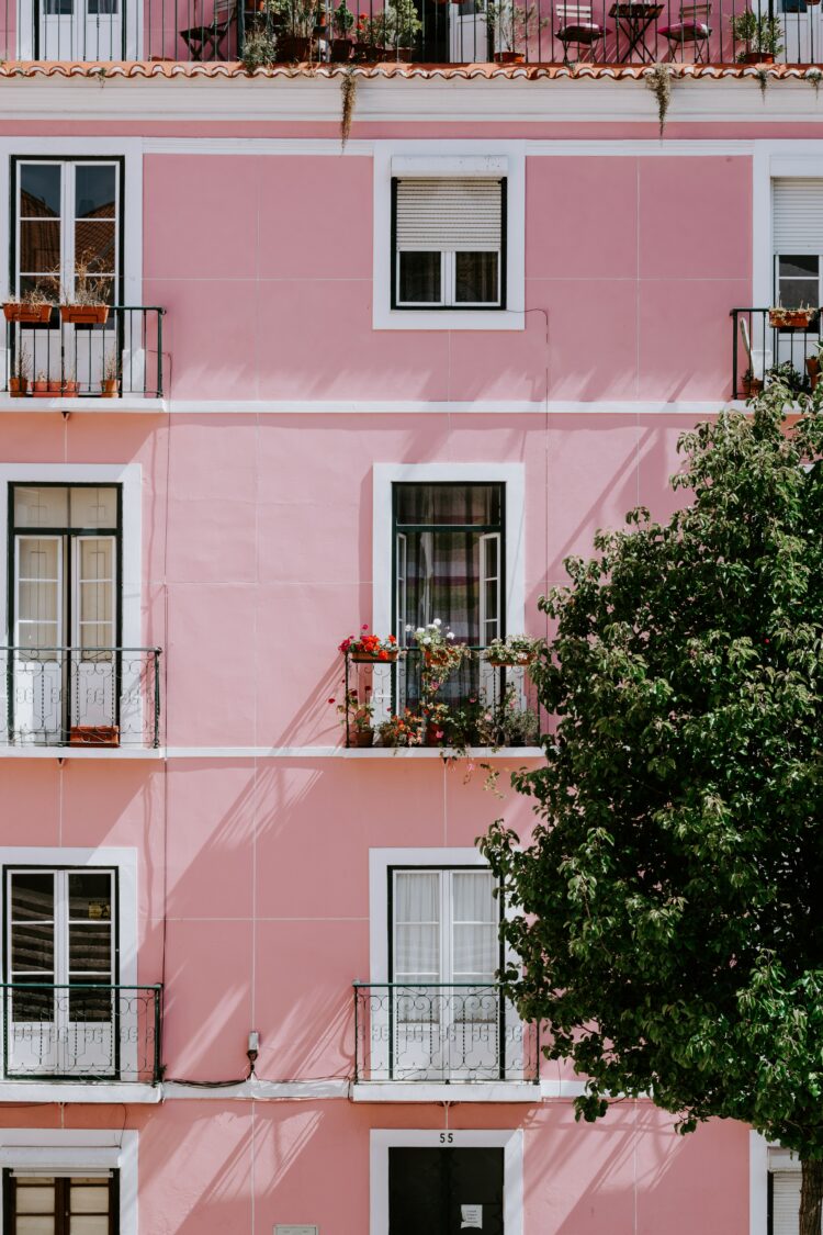 Weekend Reads #156 1 jessica arends 8saVYOMHFzU unsplash