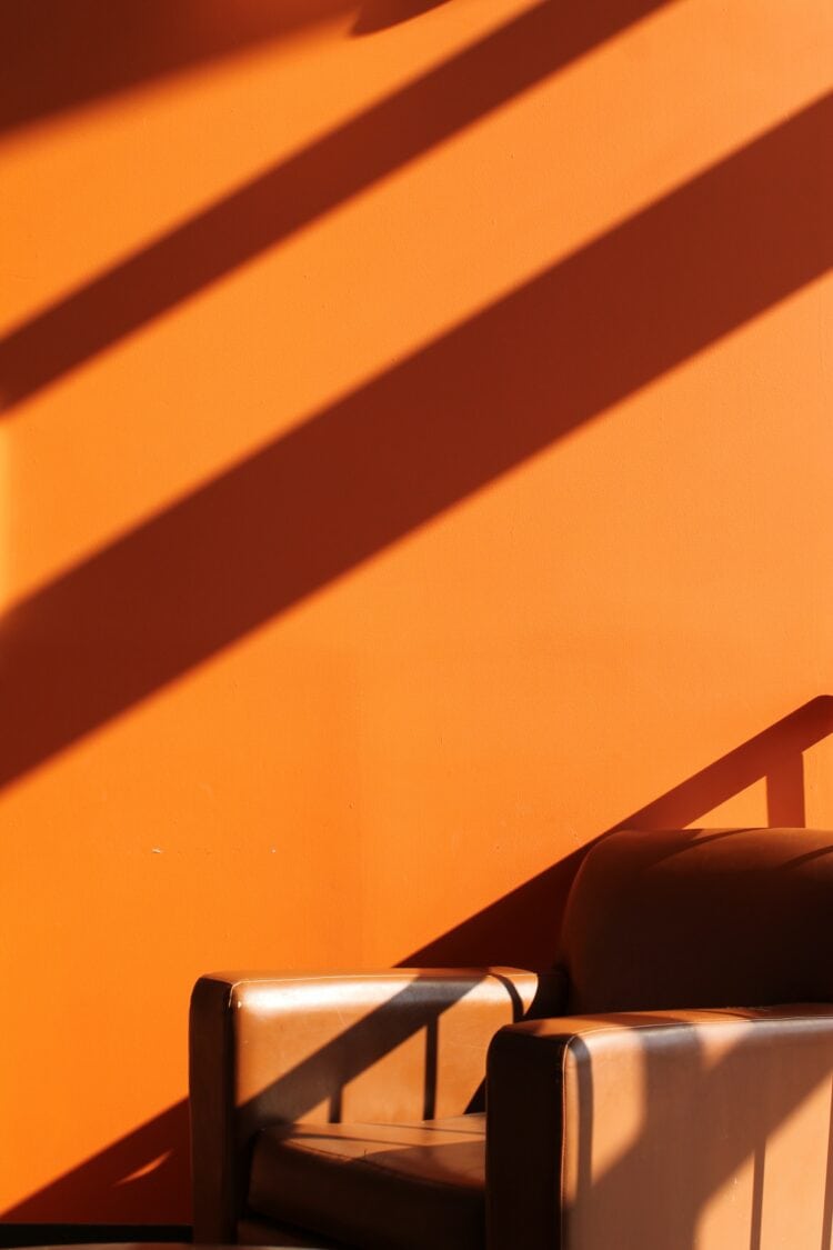 Weekend Reads #158 1 marra m7fT6OreZfI unsplash