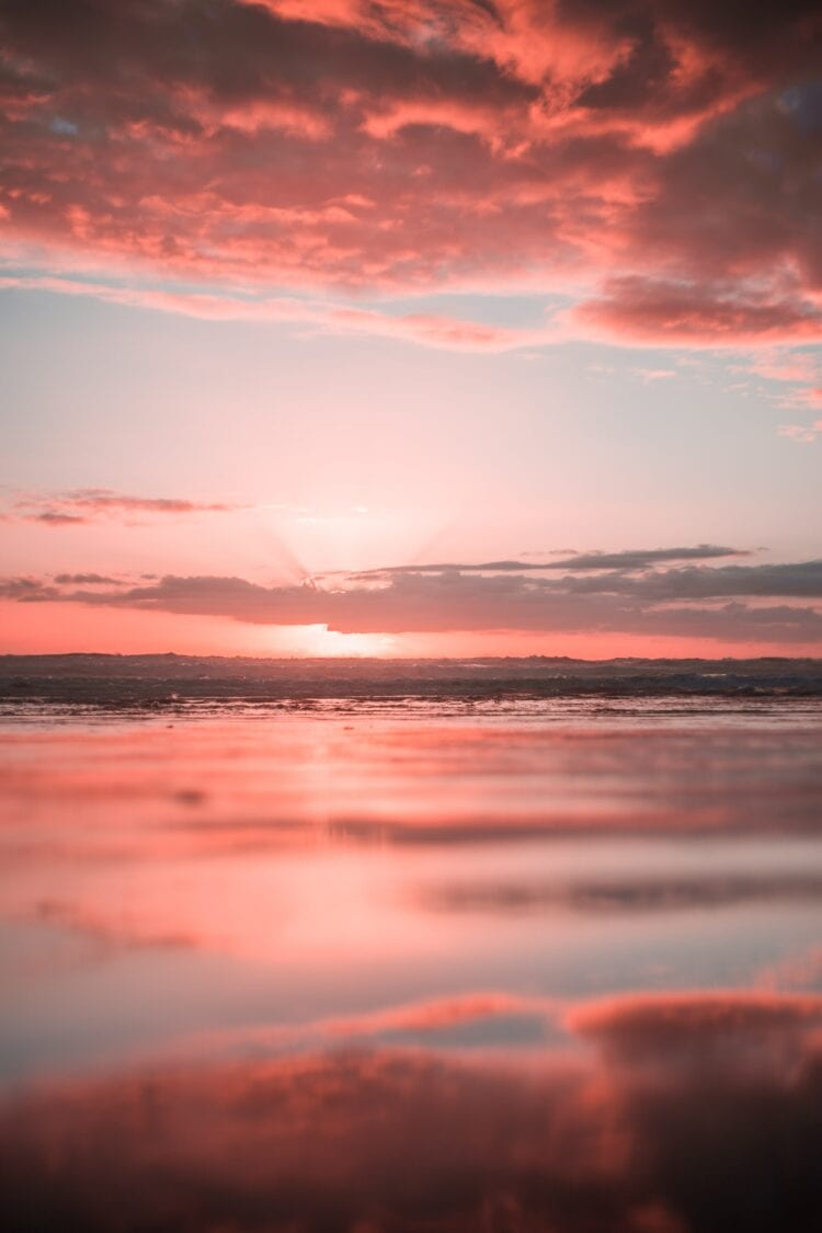 Weekend Reads #157 1 vorster vanzyl TC61P k1wIQ unsplash