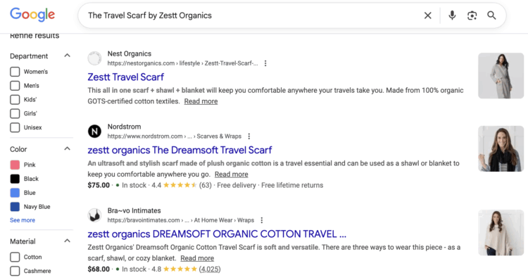 Shopping Online Screenshot of Google showing retailers that carry Zestt travel scarf